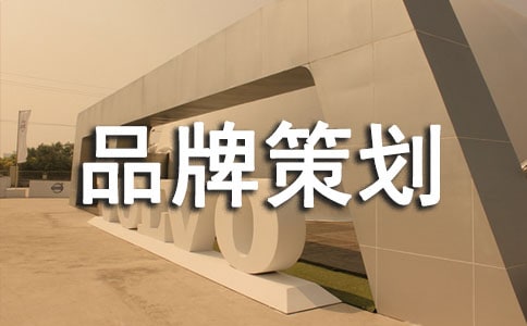 個人品牌策劃書(精選12篇)