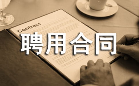 CEO聘用合同范本