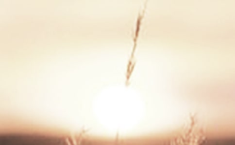 破曉的初中作文450字