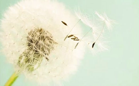 ������־�������ѹ�Ӣ