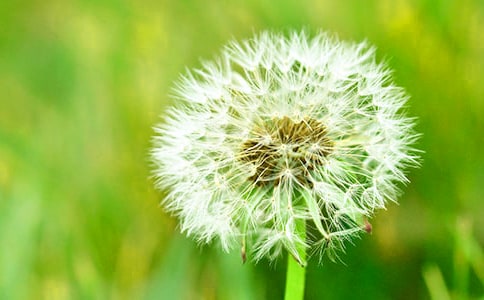 С�����g(sh��)�ѹ�Ӣ�̰�