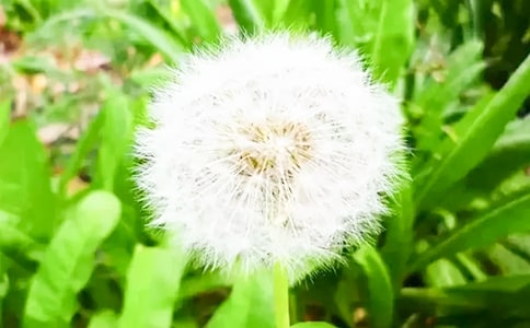 �ѹ�Ӣ����