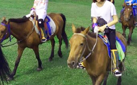 �����T�R�@����