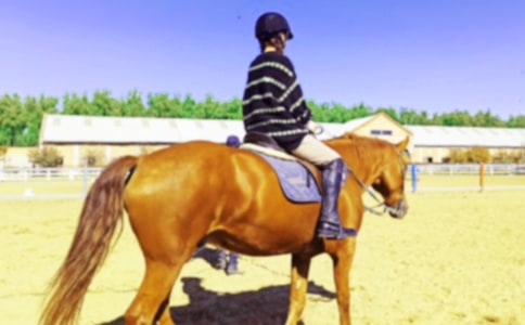 第一次騎馬作文通用15篇