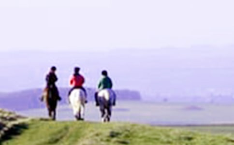 第一次騎馬作文(精選32篇)