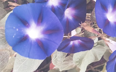 �����͠������n��˼