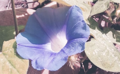 ���x�茑������������3ƪ