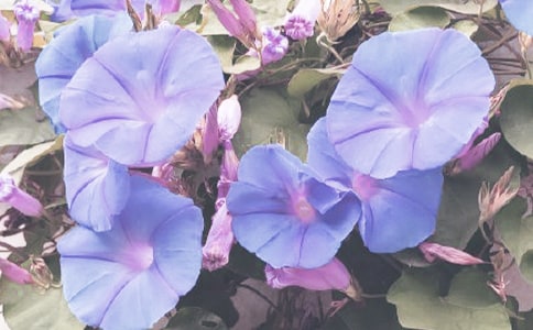 ���]������������