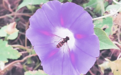 ���x����������4ƪ