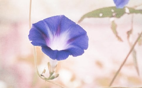 �����]����ţ������