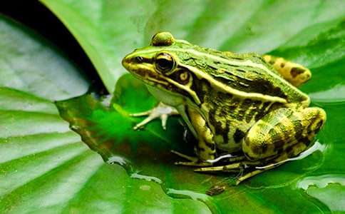 ����܊�F(tu��n)��(��i)�����x���400�� �x������܊�F(tu��n)��(��i)�����и�