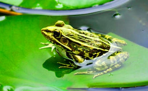 �����ܿ������̌W(xu��)��(sh��)�6ƪ(�])