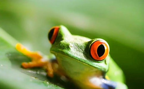 ������܊�F�۵����x���