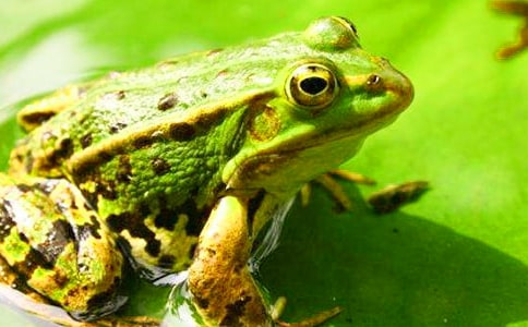 ���o(h��)�������ı؂�(14ƪ)