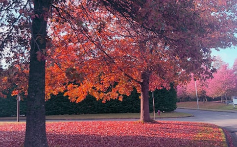 ����ԭ�ļ��p��