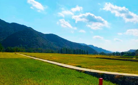 ���յ�����[��(j��ng)��15ƪ]