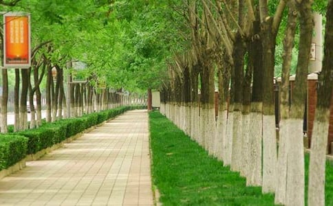 人行道停車(chē)整治方案(精選5篇)