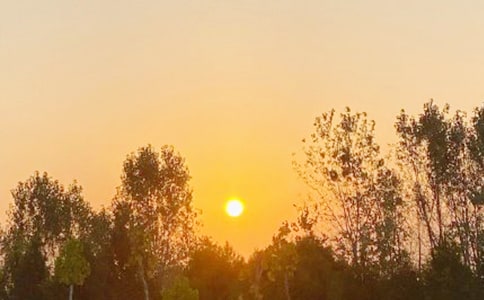 �ճ���(y��u)������