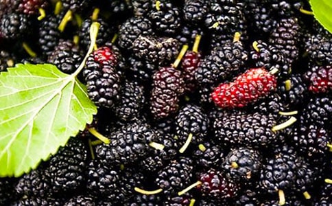 ժɣ�����ġ�����15ƪ��