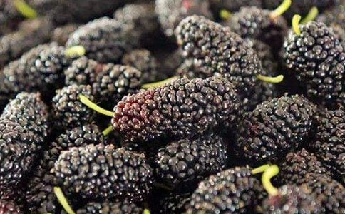 ժɣ������