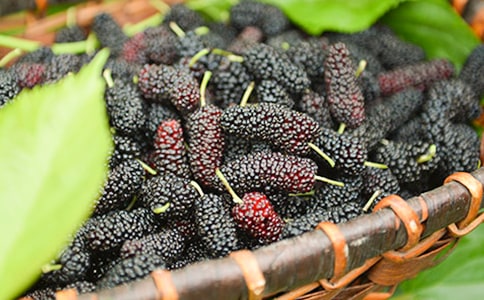 ɣ�صĹ�Ч��ʲô