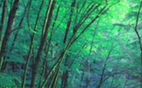 ���ɭ���^���