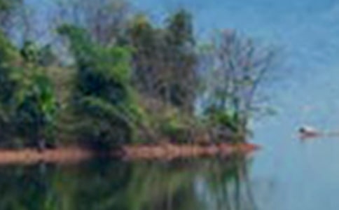 ɽˮ��Ԋ(sh��)�䃞(y��u)��(15ƪ)