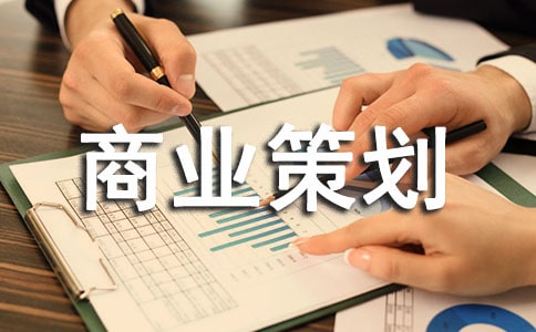 商業(yè)策劃書模板(3)