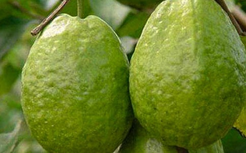 ʯ������ģ����x39ƪ��