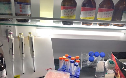 ��(sh��)�(y��n)�Ҍ�(sh��)�(y��n)Ҏ(gu��)�t(��(y��u)�x15ƪ)