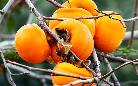 ժ�������꼉(j��)