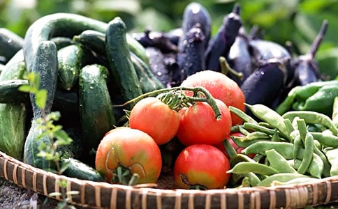 ��Щ�߲˿��Կ���