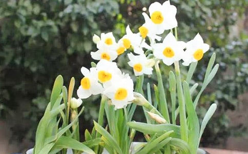 ˮ�ɻ�������