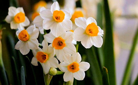 ��ϲ�gˮ�ɻ�����15ƪ(�])