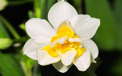 ˮ�ɻ�����[�ϼ�15ƪ]