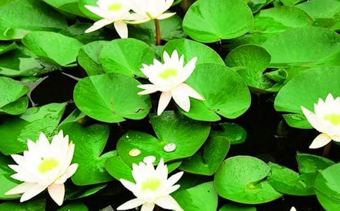 ����(y��u)�㡿˯ɏ������15ƪ