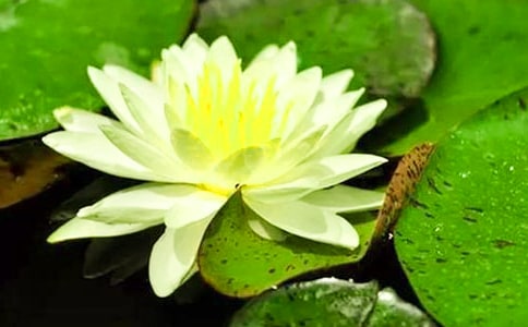 ��ͨ�ã��`�ŵ�˯ɏ����7ƪ