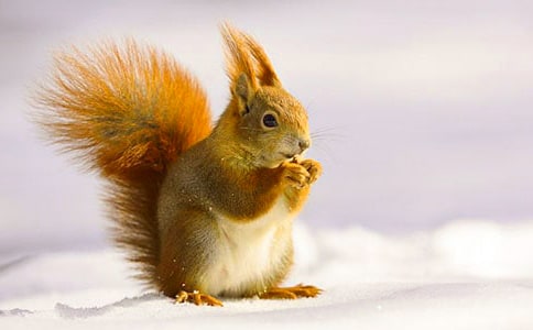 �����󡷽̌W(xu��)��(sh��)�