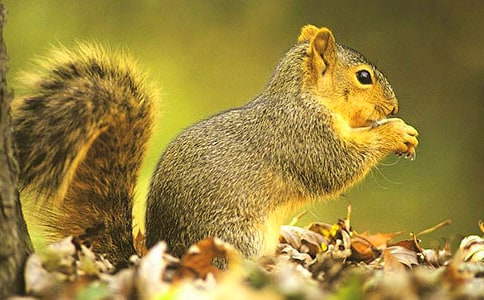 ���M(j��n)�ҁ�����������