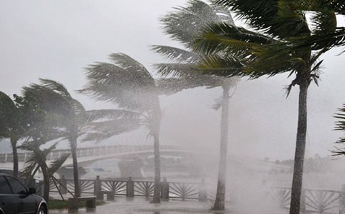 �_�L(f��ng)�������ģ�ͨ��27ƪ��