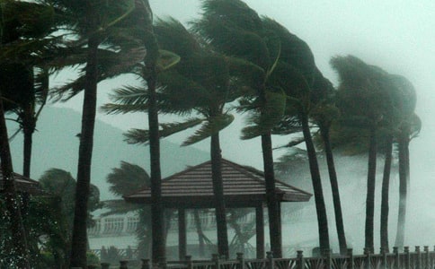 �_(t��i)�L(f��ng)�o��֪ͨ���ģ�ͨ��12ƪ��