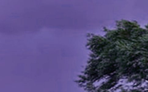 �_�L�o��������