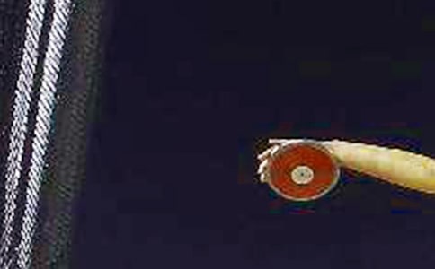 �ն����F��c����к΅^(q��)�e