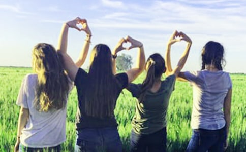 ��ͬ�W(xu��)����һ����15ƪ