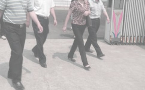 衛(wèi)生統(tǒng)計局自查報告