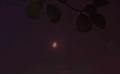 2023���������������ӅR��96��