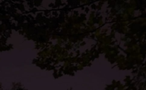 �m��Ⱥ�l(f��)���������Z