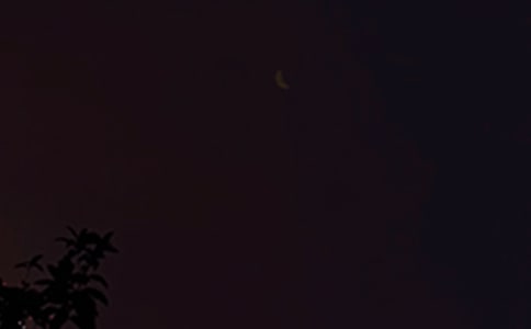 ��־�������Ŵ�ȫ135�侫�x