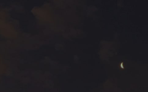 2026�꾫�xΨ�����������Z����53�l