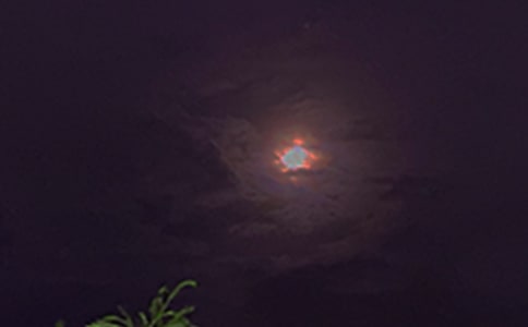 ���]��(g��)������ף���Z(y��)��ȫ�����x50�䣩